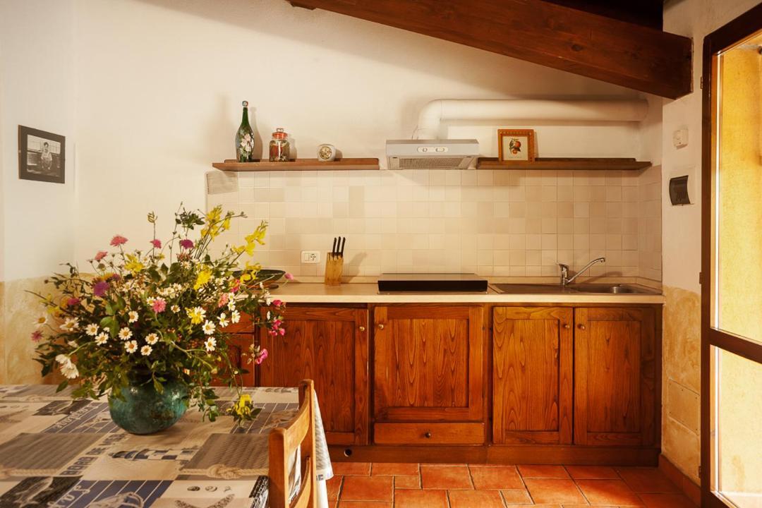 Agriturismo Podere Mulinaccio Ribolla Luaran gambar