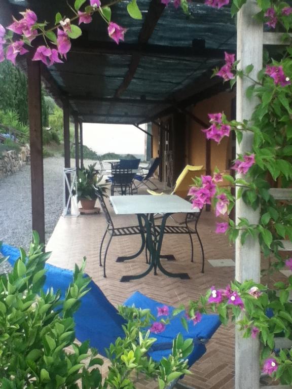 Agriturismo Podere Mulinaccio Ribolla Luaran gambar